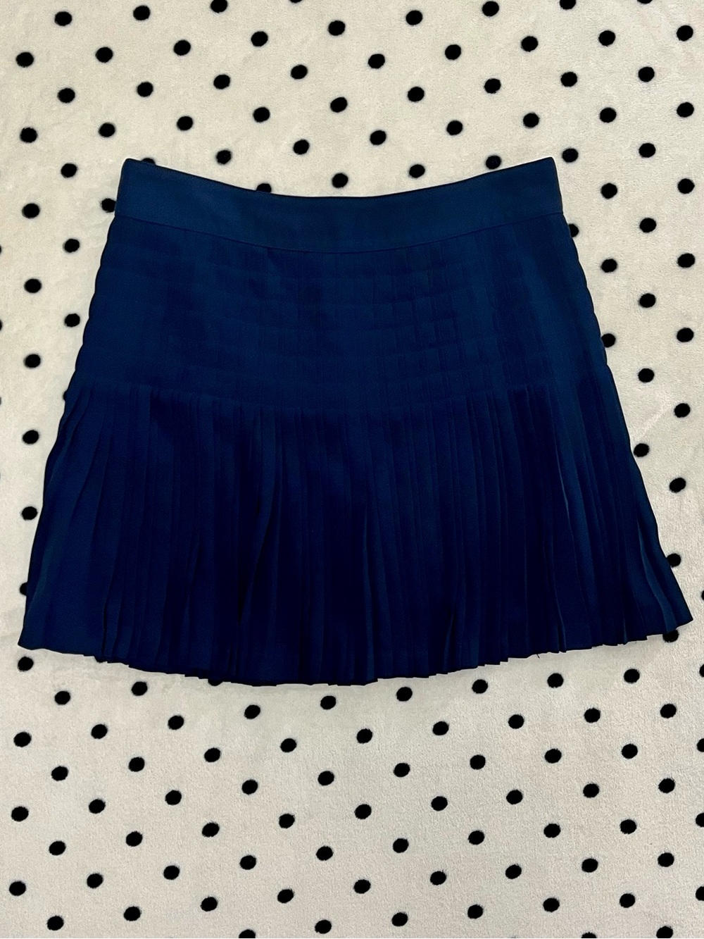 J. Crew Navy Blue Pleated Skirt Size 10